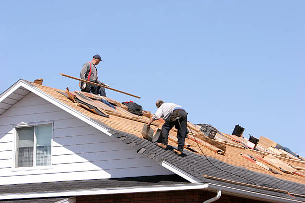 Best Cold Roofs  in Raymond, IL