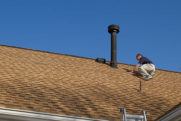 Best Solar Panel Roofing Installation  in Raymond, IL